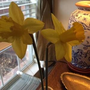 Meet your Posher, Jody